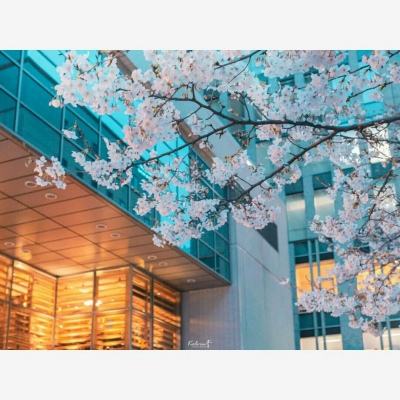 炼爱手游免费下载