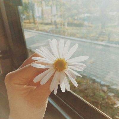 贝博app代言艾弗森手机app下载